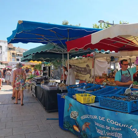 度假居 Les Ondines 1-2 By Interhome 阿格德