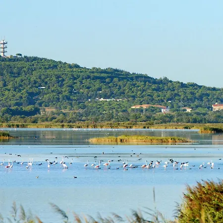 Les Ondines 1-2 By Interhome 度假居 *